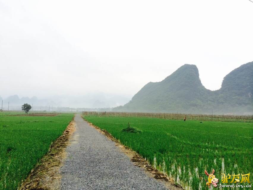 QQ图片20140517201127.jpg